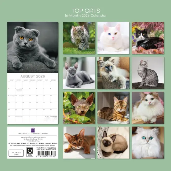 The Gifted Stationary 2026 Square Wall Calendar, Top Cats, 16-Month Animals Theme Hanging Calendar with 180 Reminder Stickers, Month Planner for Home and Creative Spaces, 12x12 In Multicolor {4}