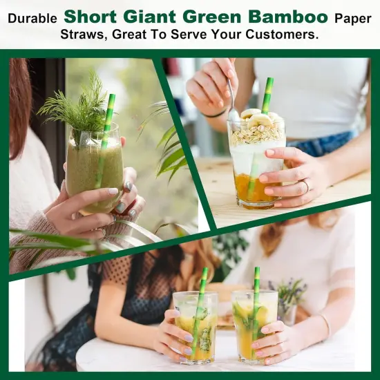 5.75" x 0.31" Green Bamboo Disposable Paper Drinking Straws for Short Drinks, Blended Cocktails, Margaritas, Smoothies, Milkshakes - Unwrapped {4}