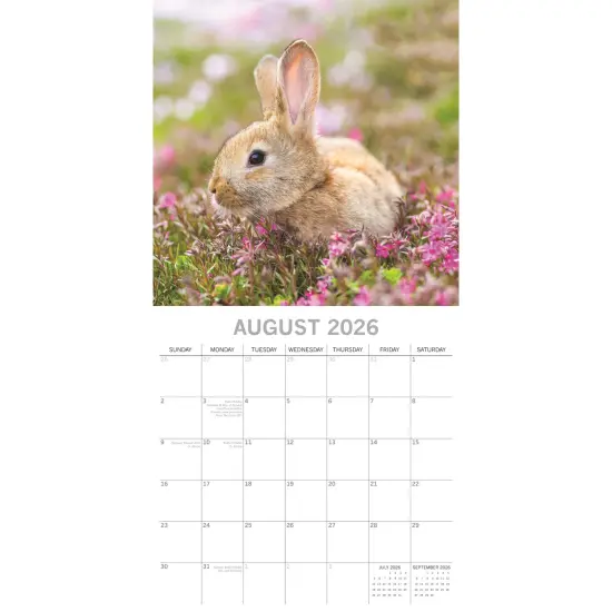 The Gifted Stationary 2026 Square Wall Calendar, Cute Bunnies, 16-Month Animals Theme Hanging Calendar with 180 Reminder Stickers, Month Planner for Home, or Creative Spaces, 12x12 In Multicolor {3}