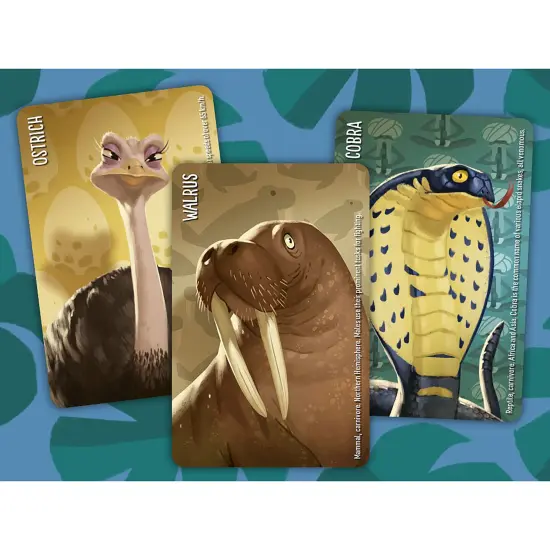 Similo: Wild Animals - Cooperative Deduction Card Game, Horrible Guild, Ages 7+, 2+ Players, 10 Min {4}