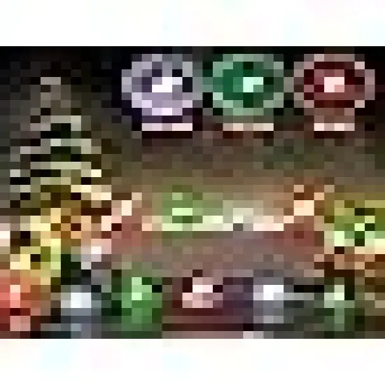 Waterproof Xmas Fairy Lights for Home Party {4}