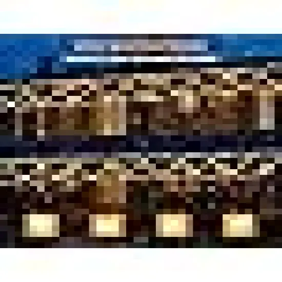 Christmas Lights Outdoor Indoor {3}