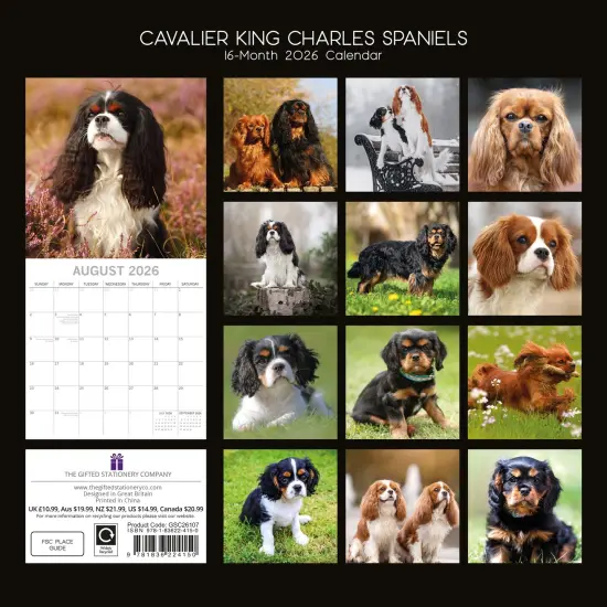 The Gifted Stationary 2026 Square Wall Calendar, Cavalier King Charles Spaniels, 16-Month Animals Theme Hanging Calendar with 180 Reminder Stickers, Month Planner for Home, 12x12 In Multicolor {4}