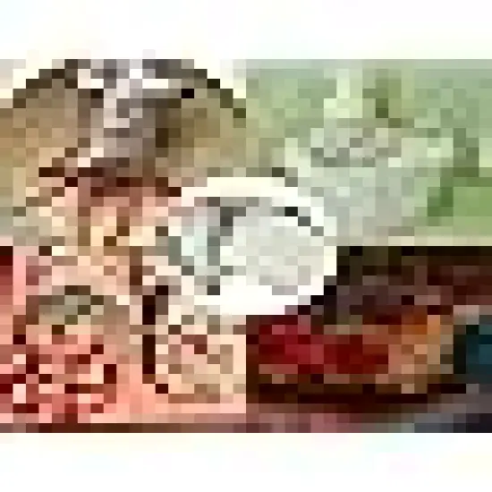 Quilting & Patchwork Fabric Set {6}