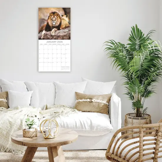 The Gifted Stationary 2026 Square Wall Calendar, Big Cats, 16-Month Animals Theme Hanging Calendar with 180 Reminder Stickers, Month Planner for Home, or Creative Spaces, 12x12 In Multicolor {2}