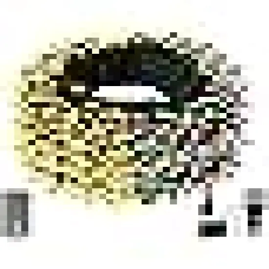 Christmas Lights for Tree Yard Party {6}