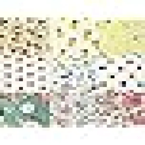 Fabric Squares Sheets Patchwork Craft Cotton Quilting Fabric {5}