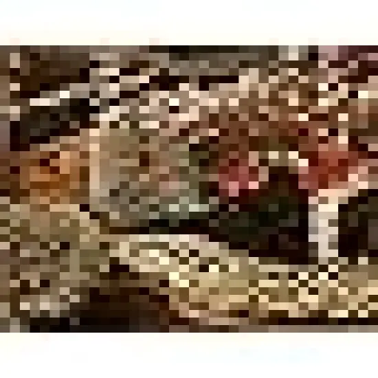 Incandescent Mini String Light {3}