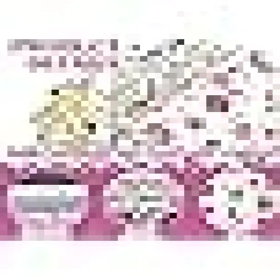 Quilting Squares Printed Floral Patchwork Fabric Bundles for DIY {4}