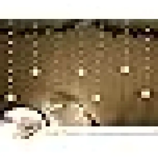 USB Battery Powered Twinkle Globe Fairy {5}