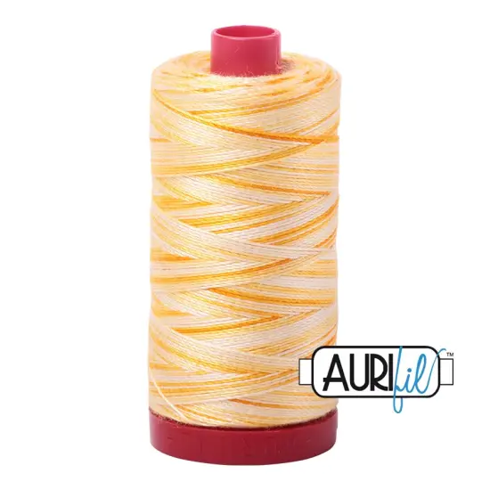 Limoni di Monterosso - Variegated (4658) | 12wt Large Spool (325M / 356Y) | Aurifil Thread {1}
