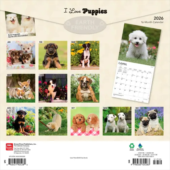 I Love Puppies | 2026 12 x 24 Inch (Hanging) Monthly Square Wall Calendar | Plastic-Free {2}