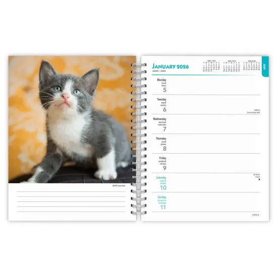 Kittens | 2026 6x7.75 Inch Spiral-Bound Wire-O Weekly Engagement Planner Calendar | New Full-Color Image Every Week {3}