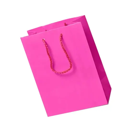 Chic Mini Glossy Paper Totes 6 1/4'' x 3 1/2'' x 8 1/2'' for Elegant Use Shocking Pink {6}