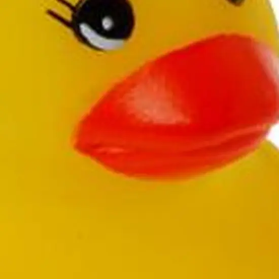 Yellow Ducks Include 12 Units {4}