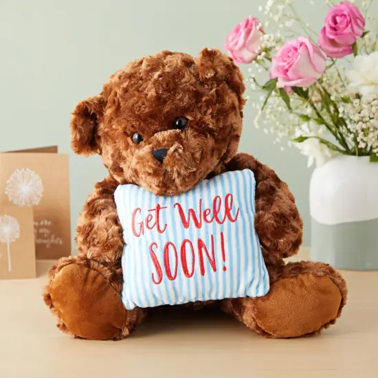 Bear Plush With a Get Well Soon Pillow, Get Well Soon Bear for Kids, Adults (Dark Brown, 14 In) {2}