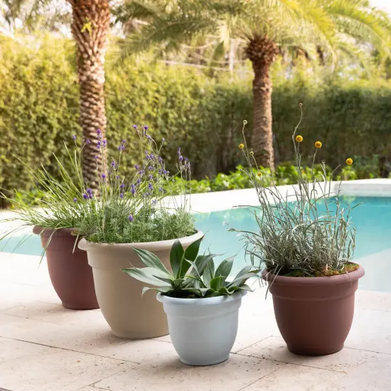 Bloem Ariana Pot Planter: 20" - Pebble Stone - Durable Resin Pot, Indoor and Outdoor Use, Gardening, Self Watering Disk Included, 11 Gallon Capacity {6}