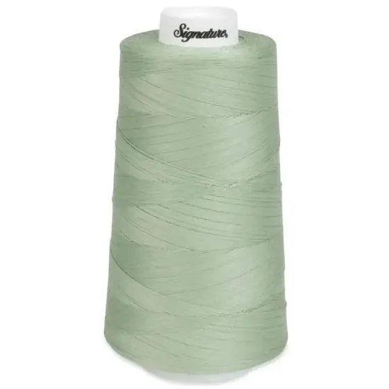 494 Seafoam Signature Cotton Thread {1}