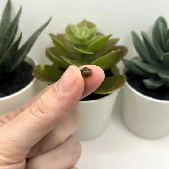 1 or 4 Strands 6x6mm Gray Brown Bicone Beads, Imitation Crystal, Grade AA {2}