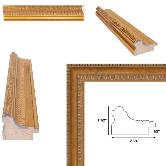 Wide Colosseum Gold Leaf Scoop Picture Frame 11x14 frame {5}