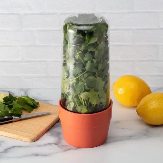 Hutzler Herb Saver Storage Container - Keep Asparagus and Herbs Fresh Longer {3}