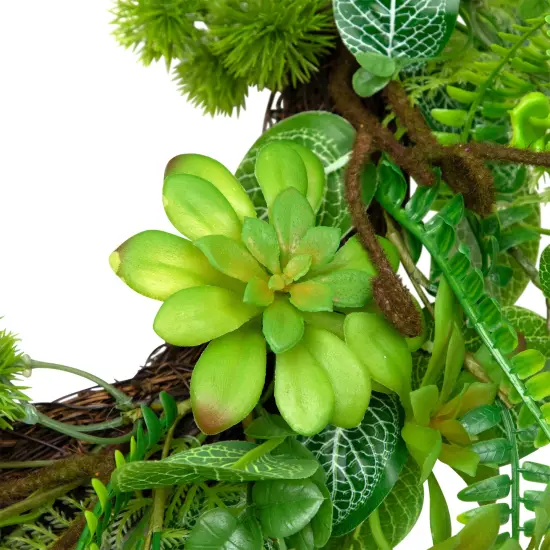 Northlight Maidenhair Fern and Foliage Spring Wreath 24-Inch Green {6}