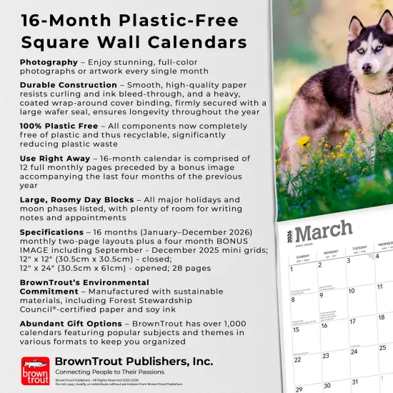 Siberian Huskies | 2026 12 x 24 Inch (Hanging) Monthly Square Wall Calendar | Plastic-Free {6}
