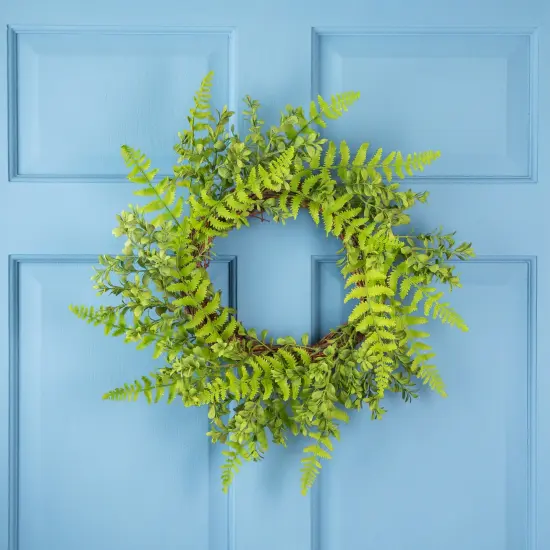 Northlight Fern Leaf Artificial Springtime Wreath - Green - 18" {1}