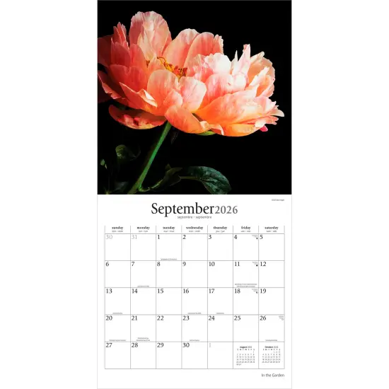 In the Garden | 2026 12 x 24 Inch (Hanging) Monthly Square Wall Calendar | Plastic-Free {4}