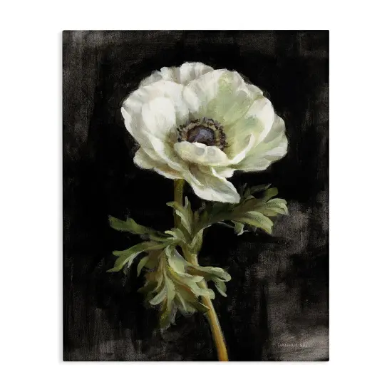 Stupell Industries Anemone on Black Canvas Wall Art Design by Danhui Nai {1}