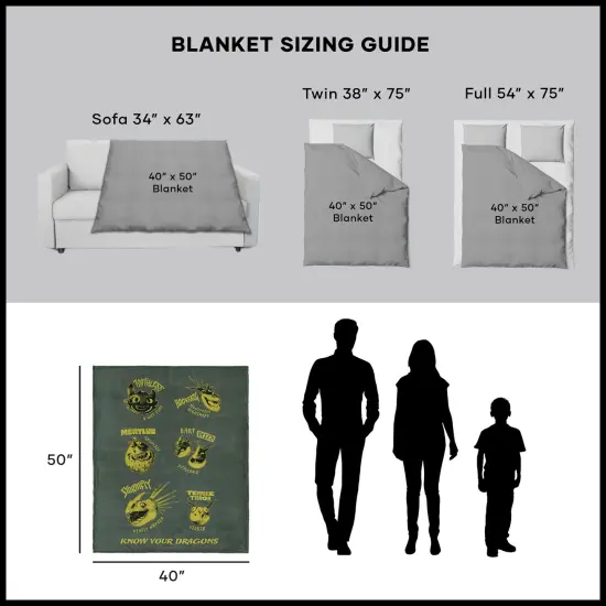 Universal How to Train Your Dragon Silk Touch Throw Blanket Know Your Dragons {6}