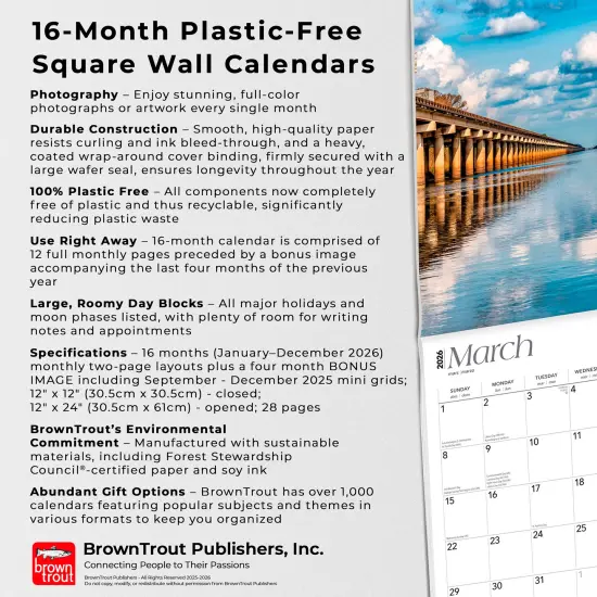 Bayou Country | Louisiana Places | 2026 12 x 24 Inch (Hanging) Monthly Square Wall Calendar | Plastic-Free {6}