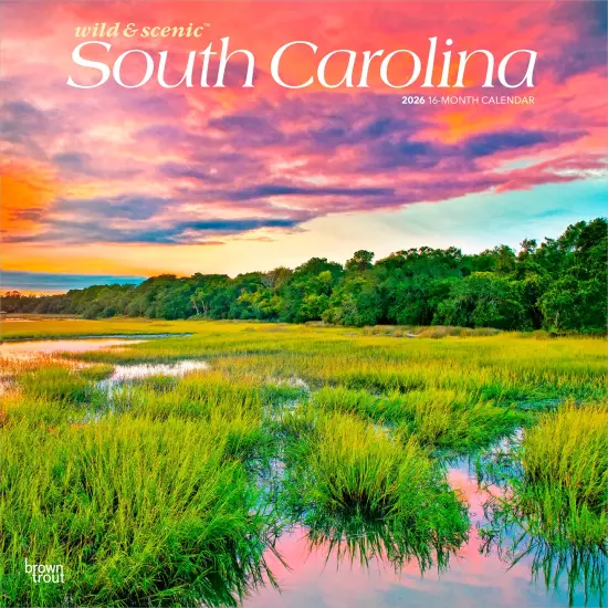 South Carolina Wild & Scenic | 2026 12 x 24 Inch (Hanging) Monthly Square Wall Calendar | Plastic-Free {1}