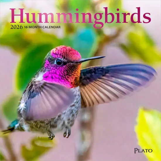 Hummingbirds | 2026 7 x 14 Inch (Hanging) Monthly Mini Wall Calendar | Foil Stamped Cover {1}