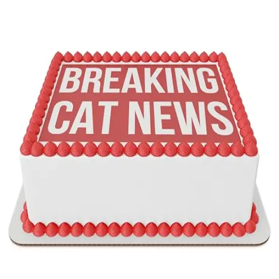 Breaking Cat News Edible Cake Topper {1}