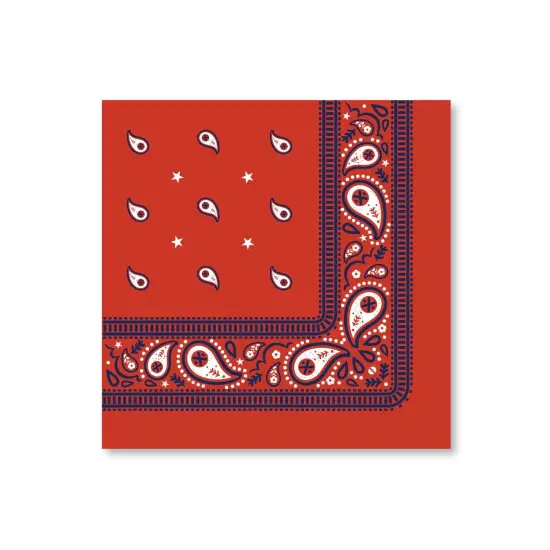 THOMAS & FRIENDS&trade; LARGE RED BANDANA NAPKINS {5}