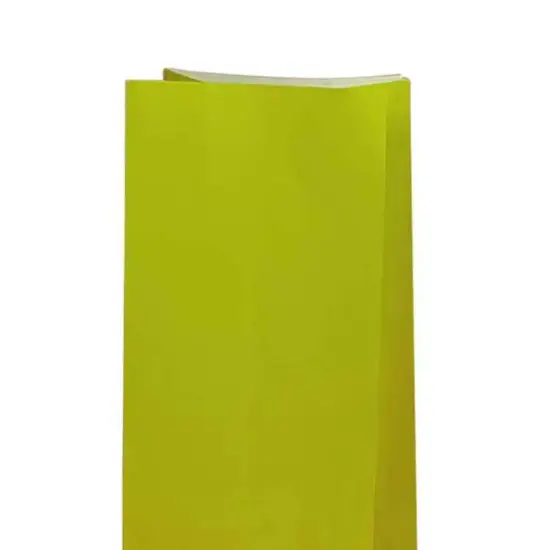 Colored Paper Party Favor Bags 5'' x 3 1/8'' x 9 5/8'' {5}