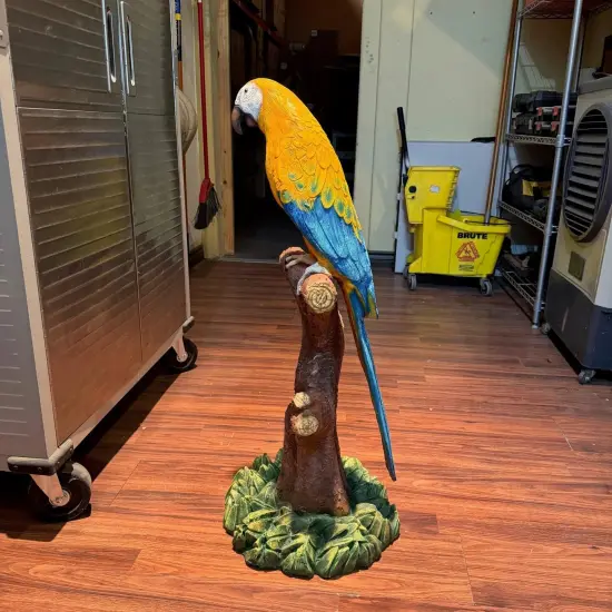 Mutation Macaw Yellow Blue Parrot On Branch Life Size Statue {5}