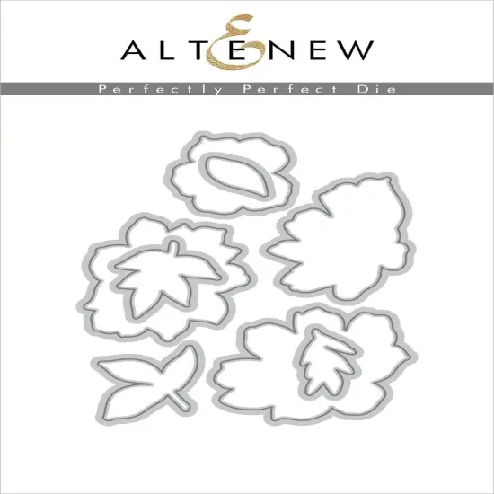 Perfectly Perfect {1}