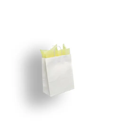 Plain White Kraft Shopping Bag 12" x 9" x 15 1/4" {5}
