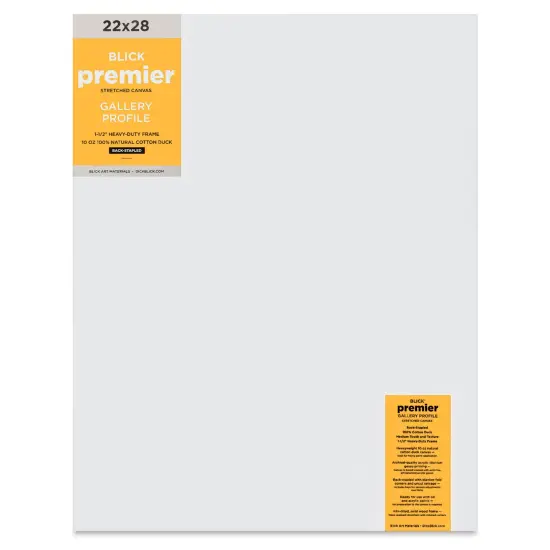 Blick Premier Stretched Cotton Canvas - Gallery Profile, Back-Stapled, 22" x 28" {1}
