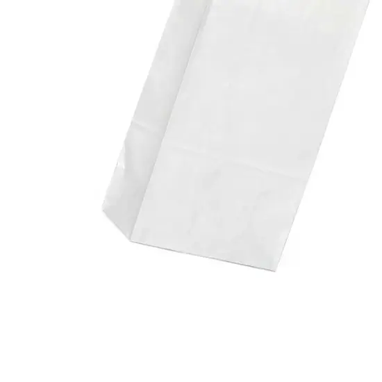 White Paper Retail Bags 8 1/4'' x 5 1/4'' x 13 3/8'' {5}