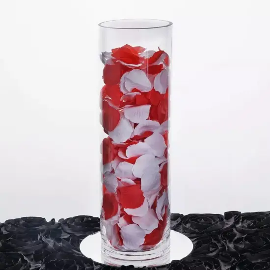 CLEAR Glass Cylinder Centerpieces VASES Wedding Party Pouches {2}