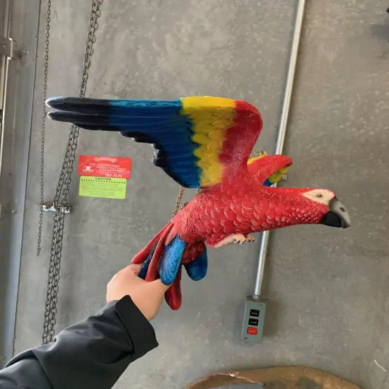 Flying Macaw Parrot Life Size Statue {6}