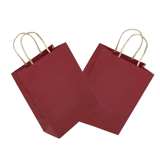 Durable Kraft Paper Shopping Bag 5.5" x 3.25" x 8.375" {6}