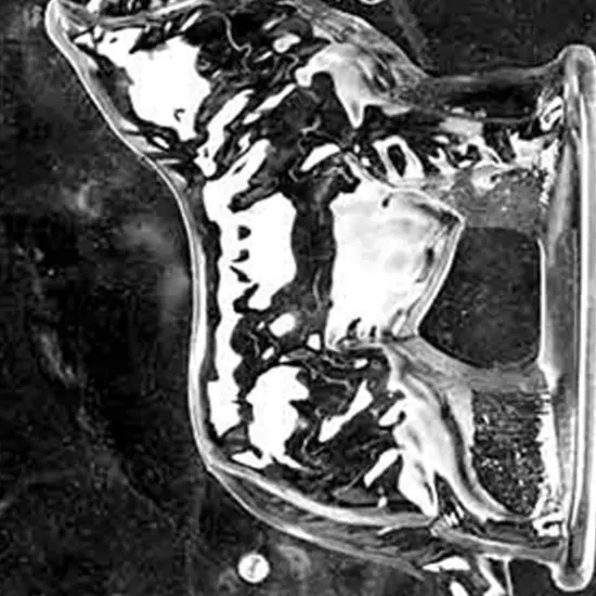 3D Collie Chocolate Mold {5}