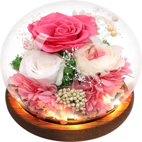 Preserved Flowers,Rose in Glass Dome with LED Light, Gifts for Her, Women, Mom,Grandma,Girlfriend, Wife- Style4 {1}