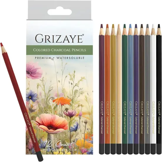 Charcoal Pencils, Set of 12 Premium, Watersoluble for Vivid Colors {1}