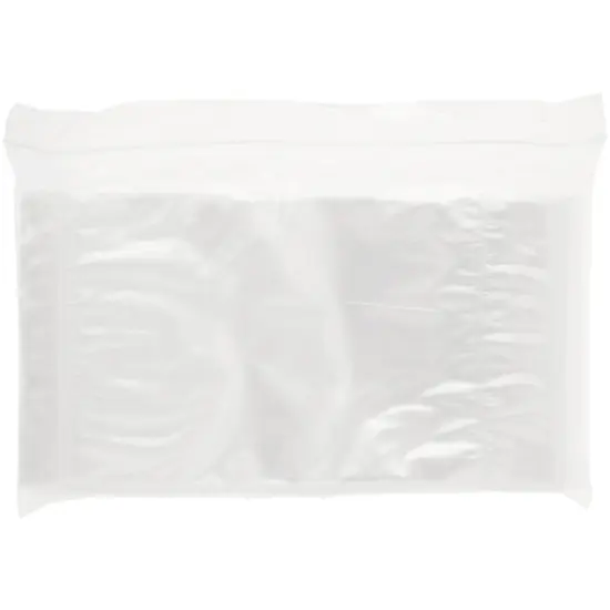 Plymor 6" x 9", 2 Mil with Pouch Zipper Reclosable Plastic Bags {5}