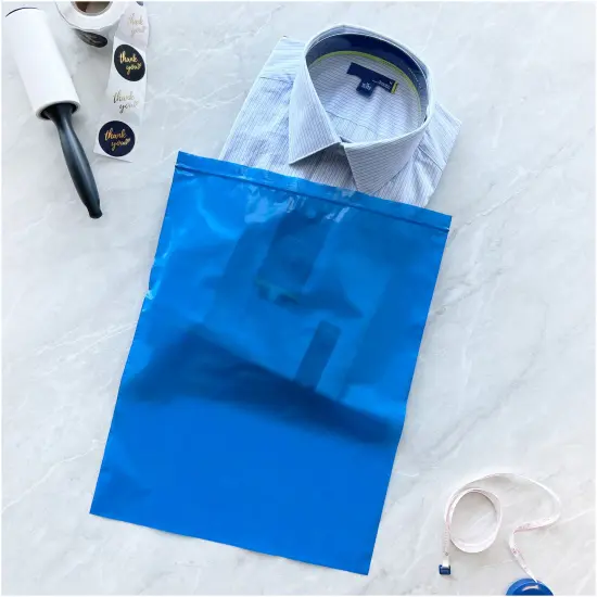 Plymor 12" x 15", Blue 2 Mil Zipper Reclosable Plastic Bags {4}